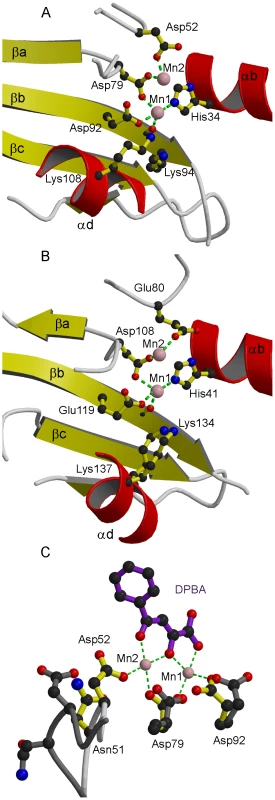 Active site of LC183 compared to influenza A/H3N2 PA-Nter.