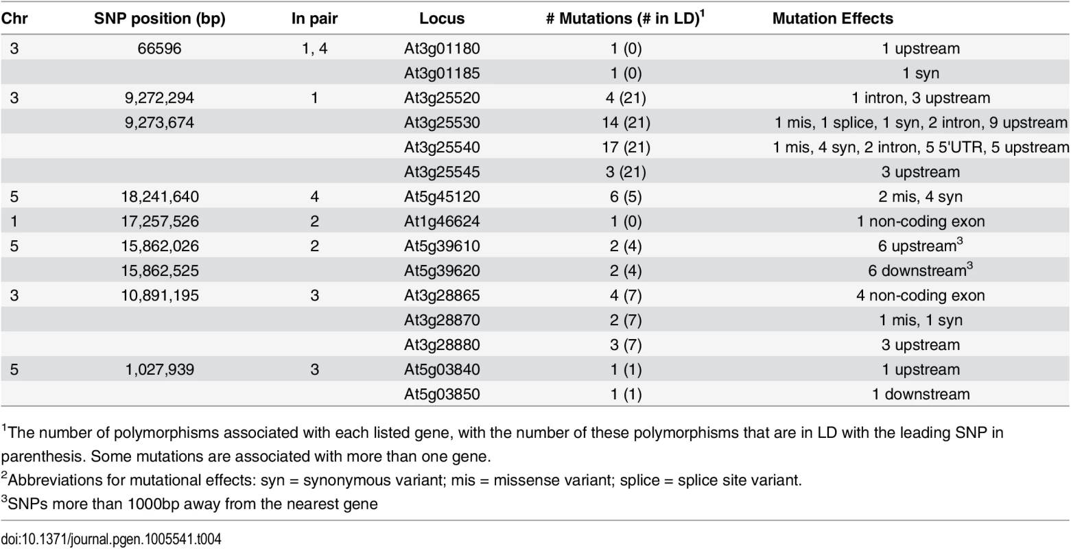 Summary of identified polymorphisms in LD with the leading SNPs from the epistatic GWA analysis.