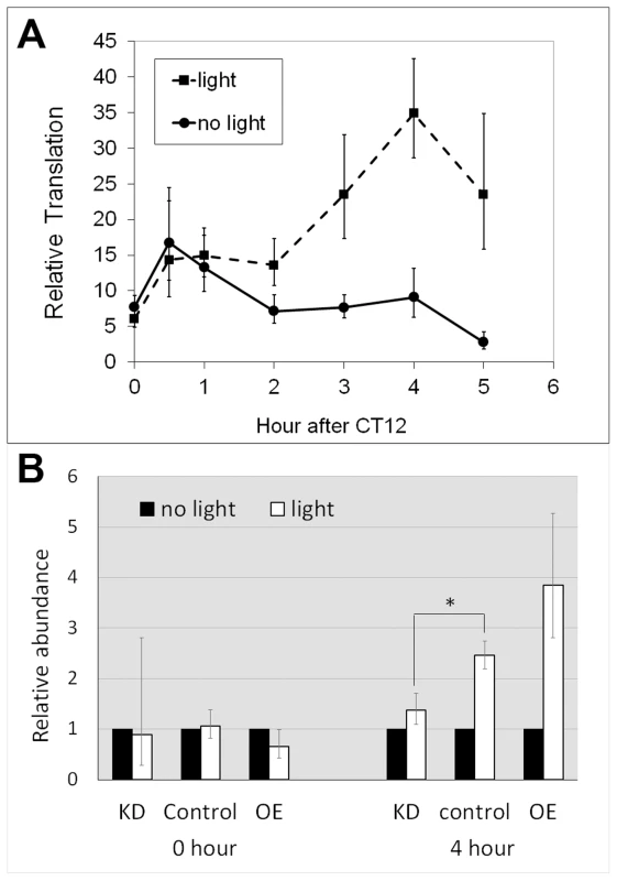 Altered LARK expression affects light-induced translation of <i>dbt-RE</i>.