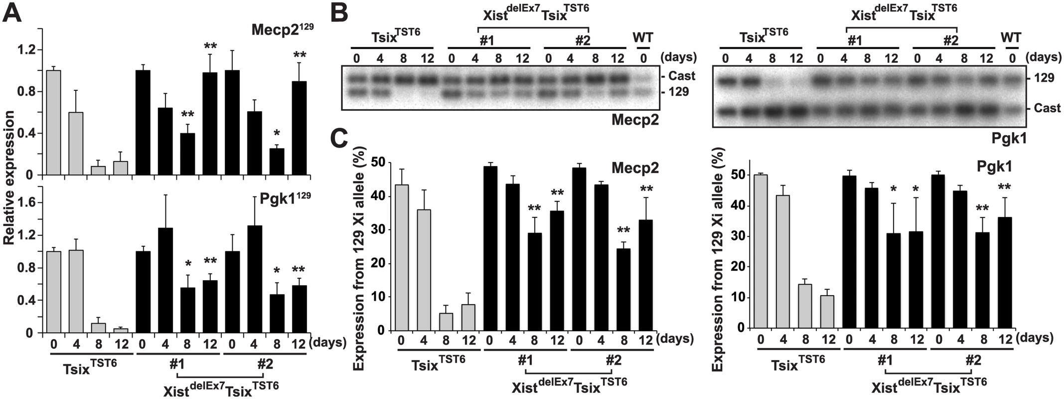 Truncation of exon 7 of Xist RNA affects the X-linked gene silencing on the Xi during EB differentiation.