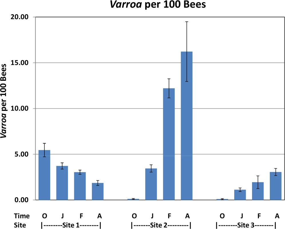 <i>Varroa</i> per 100 bees by location and collection time.