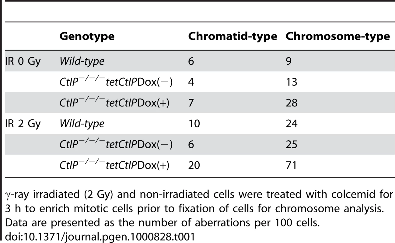 Chromosomal aberrations in <i>CtIP<sup>−/−/−</sup>tetCtIP</i> mutants.