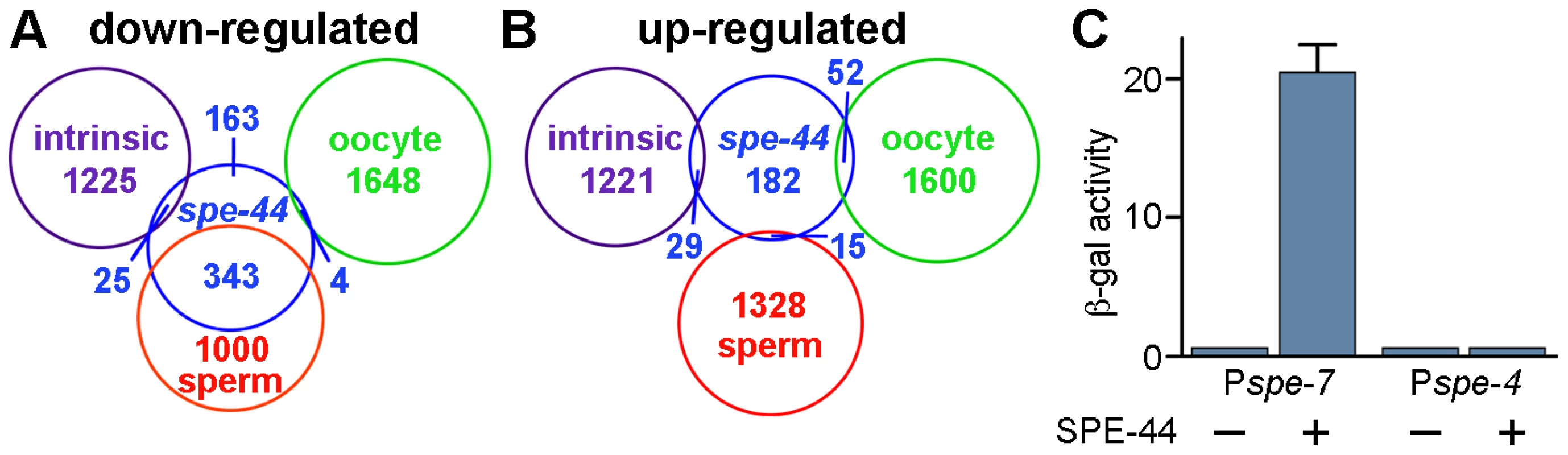 Summary of microarray results and transcriptional activation by SPE-44.