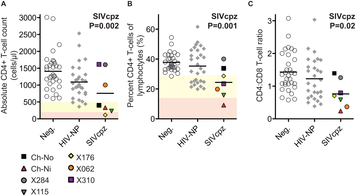 Comparison of CD4+ T-cell levels in uninfected, HIV-1 infected and SIVcpz infected animals.