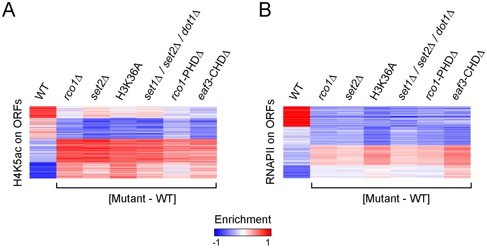 Set2-dependent H3K36 methylation is required for the function of Rpd3S.