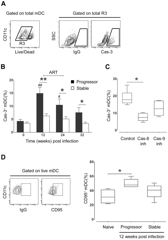 Apoptosis of lymph node mDC increases in progressive but not stable SIV infection.