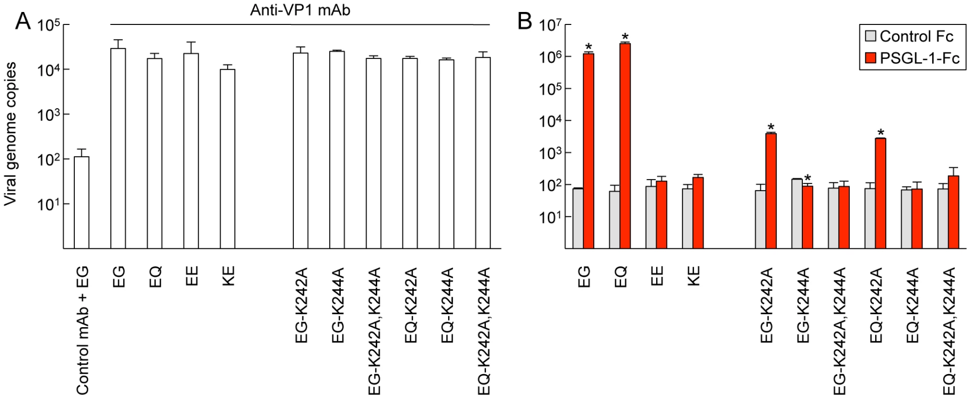 EV71–PSGL-1 binding assay using real-time RT-PCR.