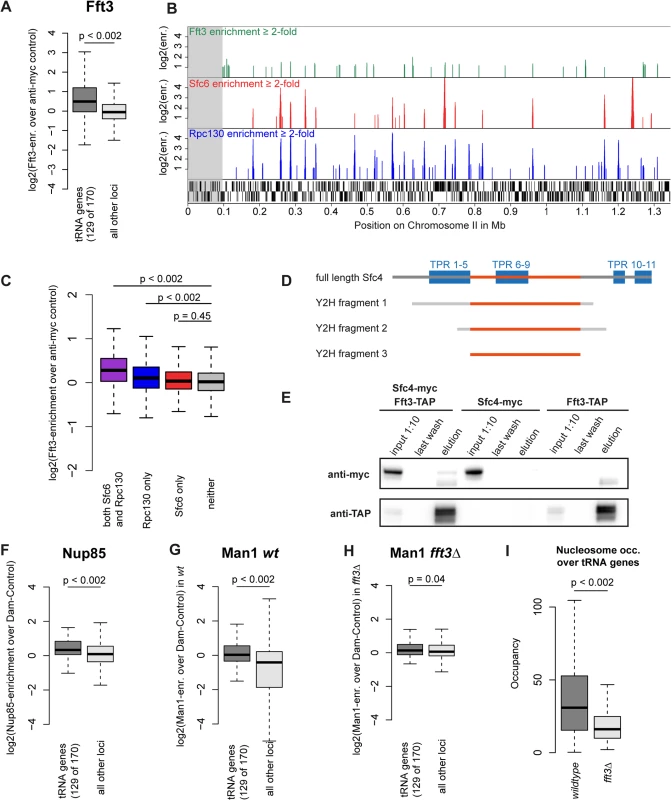 Fft3 interacts with TFIIIC at Pol III transcribed loci and affects peripheral localization of tRNA genes.