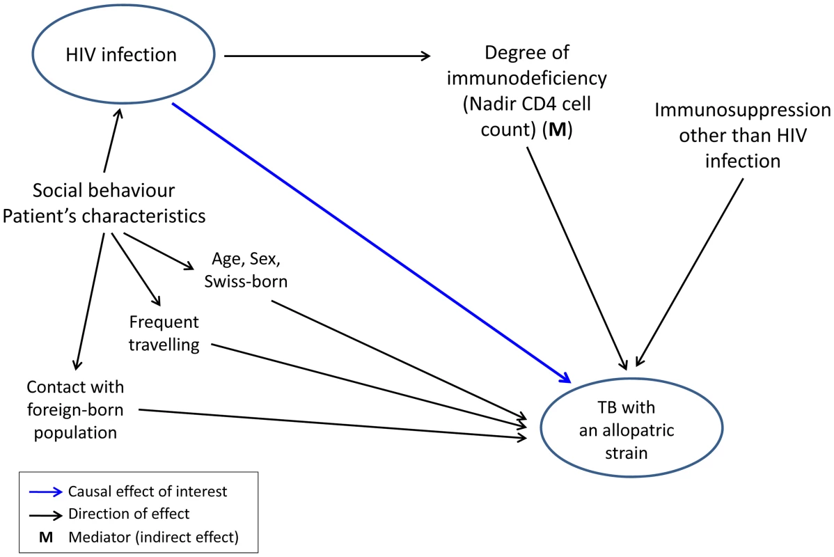 Graphical model showing direct and indirect potential effects of HIV infection on tuberculosis (TB) caused by an allopatric &lt;i&gt;Mycobacterium tuberculosis&lt;/i&gt; strain, in the context of other potential factors influencing this association.