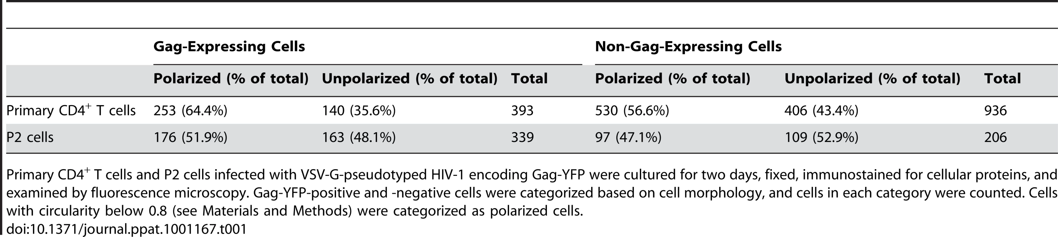 Quantification of T Cell Polarization.