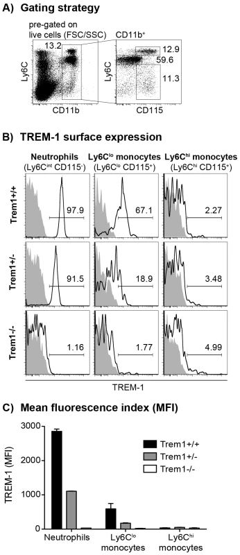 TREM-1 surface expression by peripheral blood myeloid cell subsets from wildtype versus <i>Trem1</i>-deficient mice.