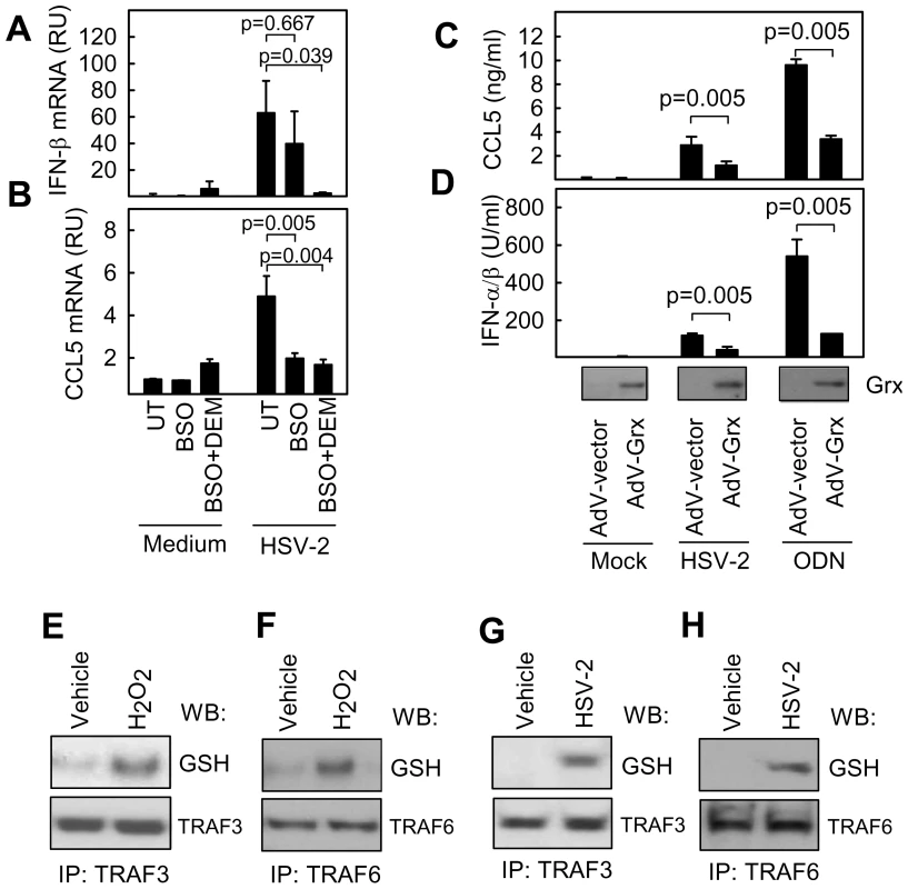 S-glutathionylation of TRAFs in response to exogenous and virus-induced ROS.