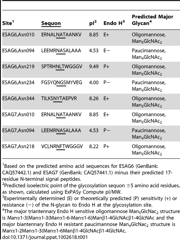 Experimental and theoretical occupancy of TfR N-glycosylation sites.