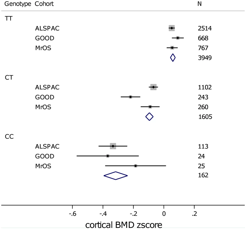 Mean (and standard error) BMD<sub>C</sub> z-scores per rs1021188 genotype in each of the cohorts.