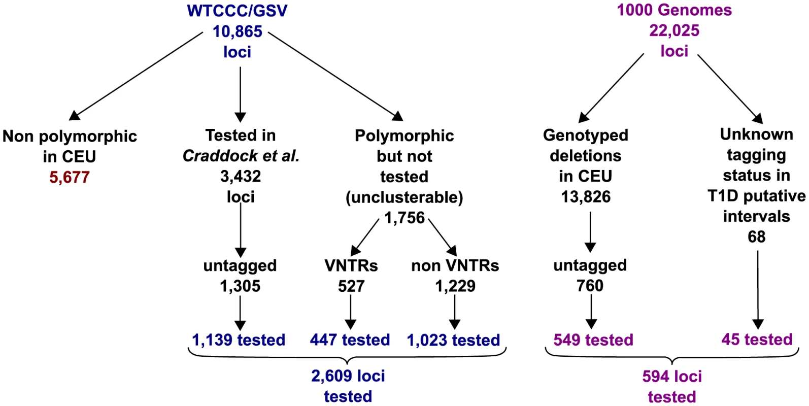 Summary of the CNVs included in the array design and tested for T1D association using FBAT-CNV.