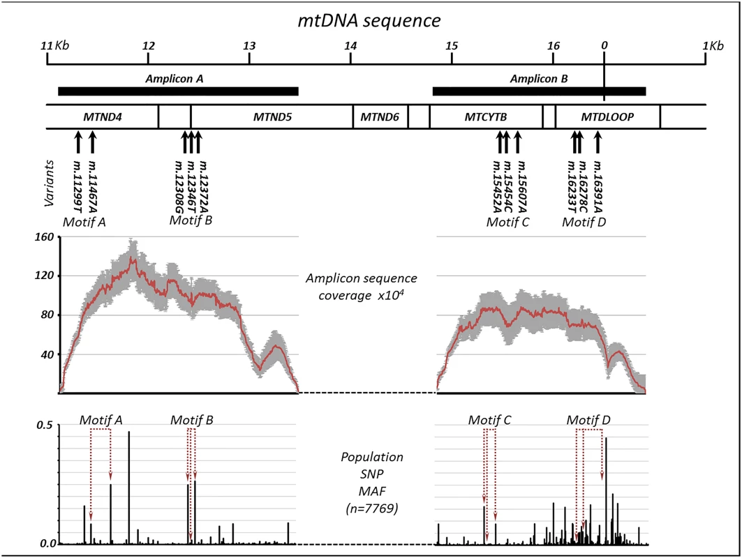 Extreme deep sequencing in trios with discordant paternal and maternal mitochondrial DNA.