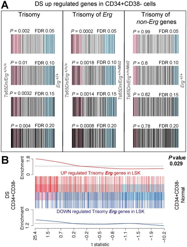 Human DS Lin<sup>-</sup>CD34<sup>+</sup>CD38<sup>-</sup> HSPC gene expression changes correlate with changes due to trisomy of <i>Erg</i> in Ts(17<sup>16</sup>)65Dn LSK cells.