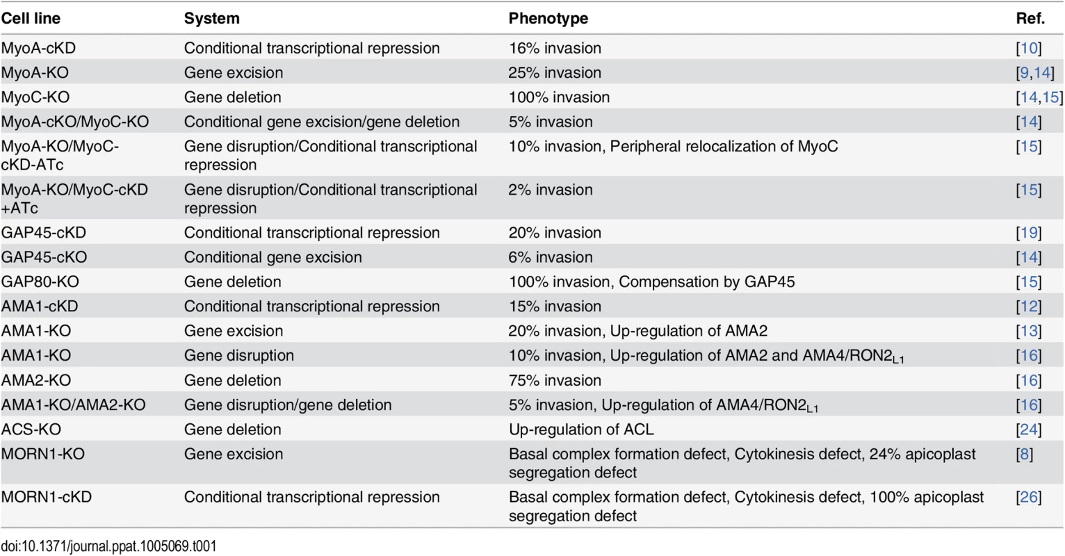 Summary of the phenotype and adaptation observed in the cell lines discussed in this review according to the technology used to investigate the function of the corresponding gene.
