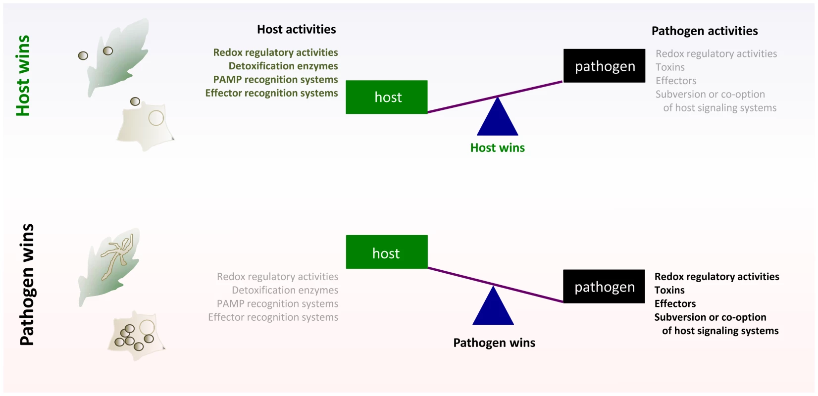 Tipping the balance for control in host–pathogen interactions; generalized schematic.