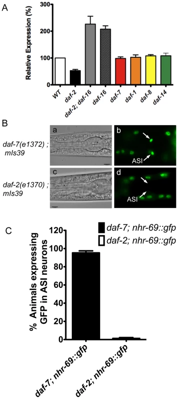 Insulin signaling positively regulates <i>nhr-69</i> expression.