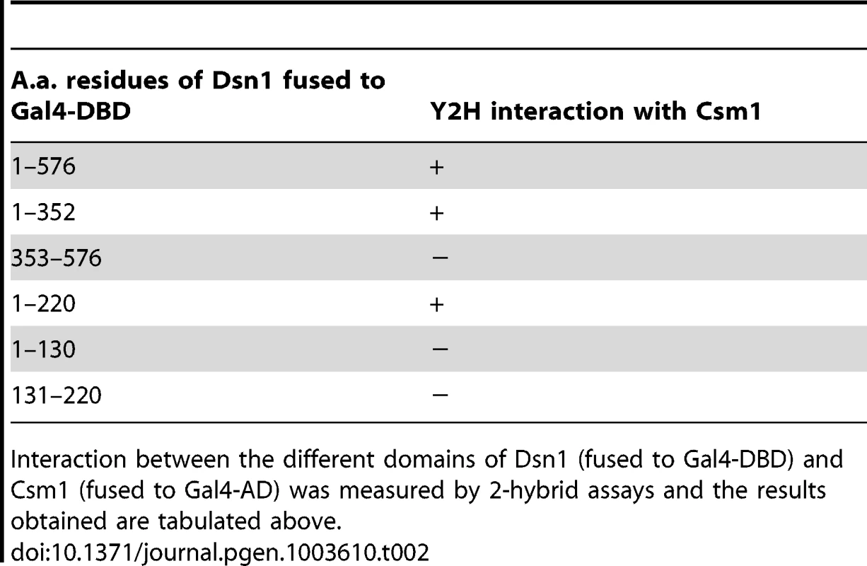 Mapping the Dsn1 domain that interacts with Csm1 by 2-hybrid analysis.