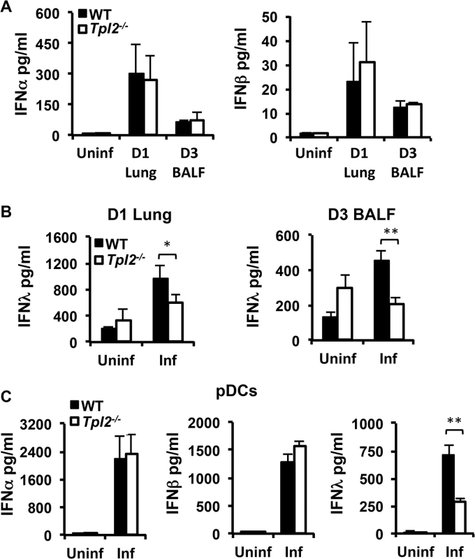 Tpl2 is required for optimal IFNλ production during influenza virus infection <i>in vitro</i> and <i>in vivo</i>.
