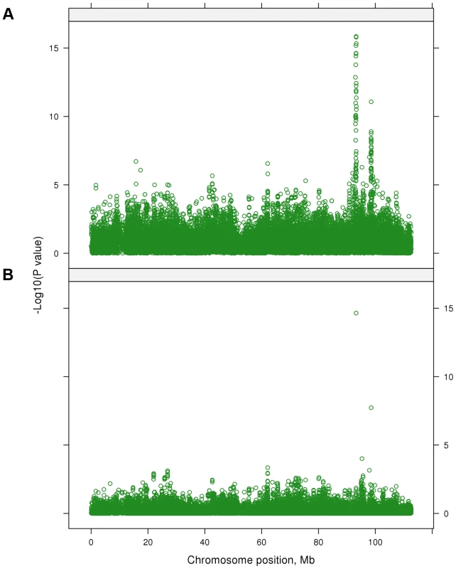 The −log<sub>10</sub>(<i>P</i>-values) of the multi-trait test calculated using SNP effects from the single-trait GWAS for 32 traits on BTA 7 before (A) and after (B) fitting 28 lead SNPs in the model.
