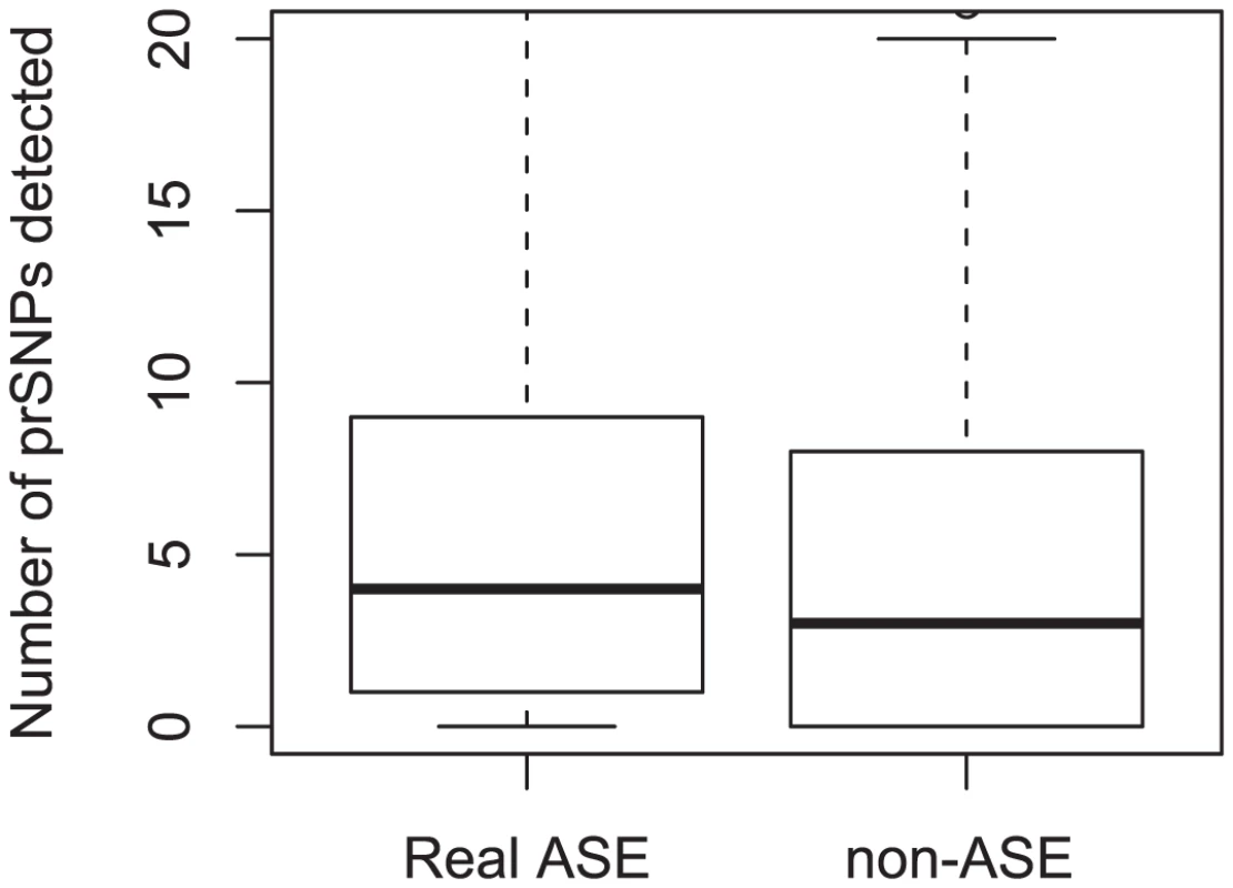 prSNPs detected for rare ASE effects (real and non-ASE).