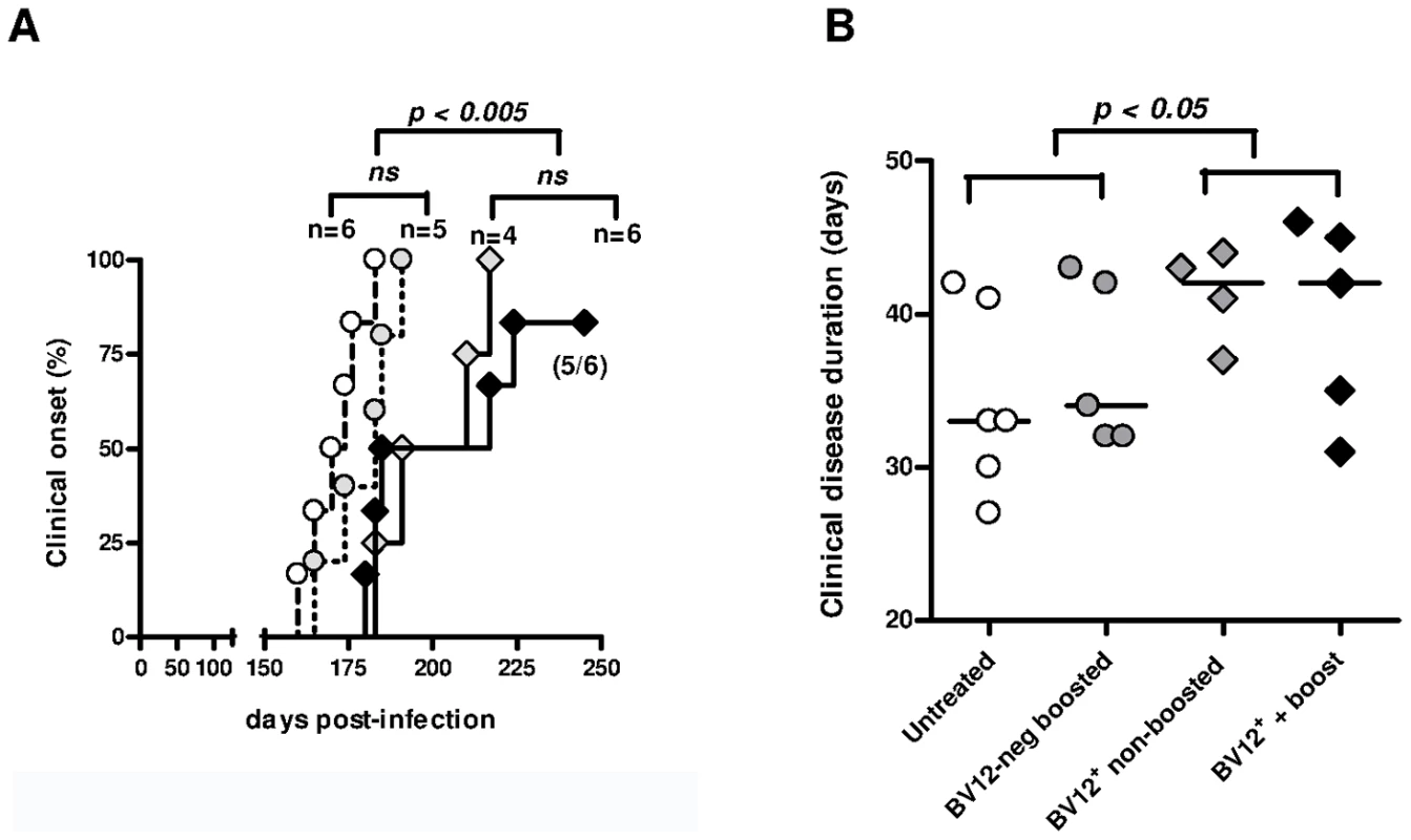 Adoptive transfer of minimal amounts of transgene-bearing CD4<sup>+</sup> T cells delays scrapie onset and prolongs the clinical phase.