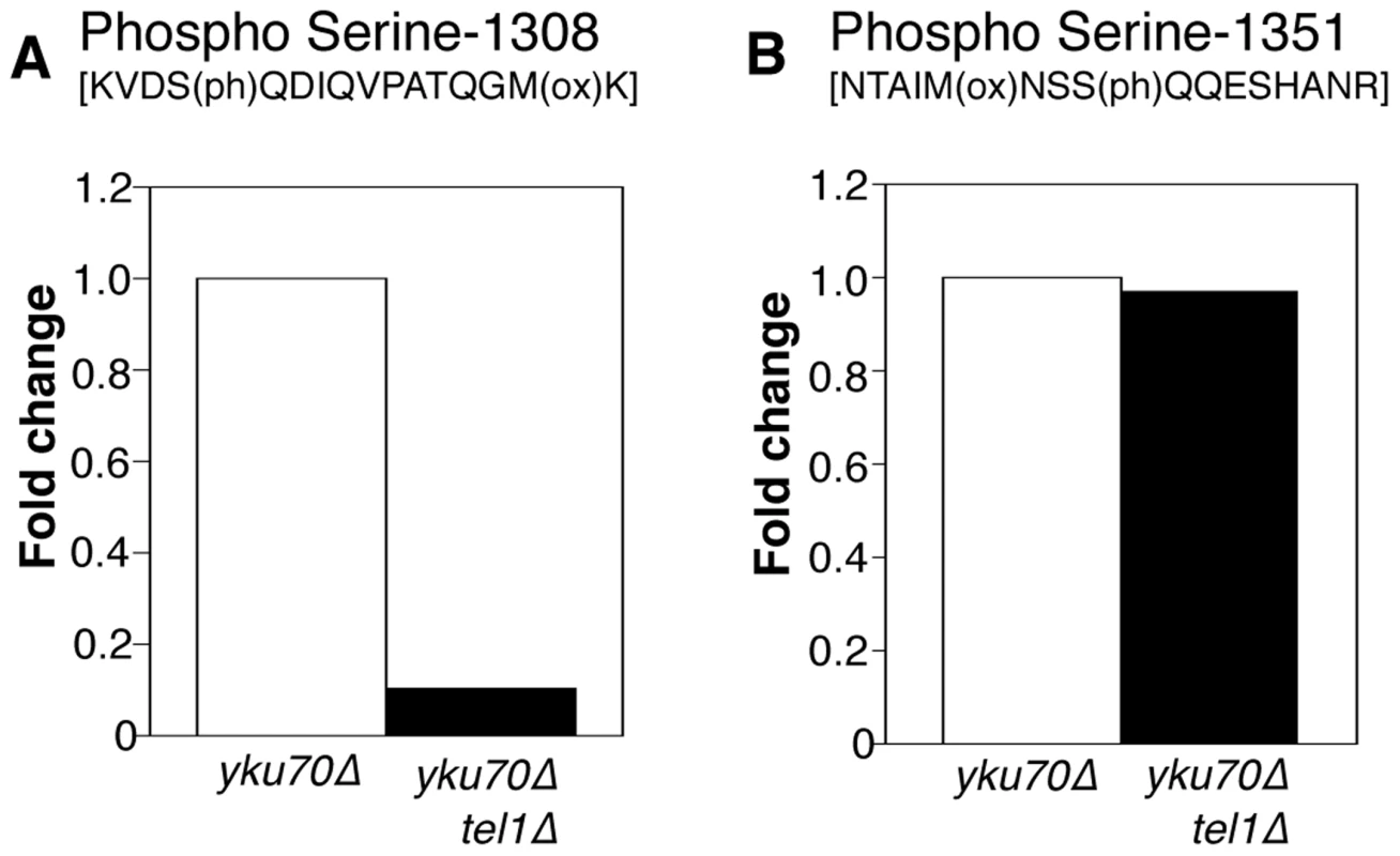 Phosphorylation of Rif1 Serine-1308 depends on Tel1.