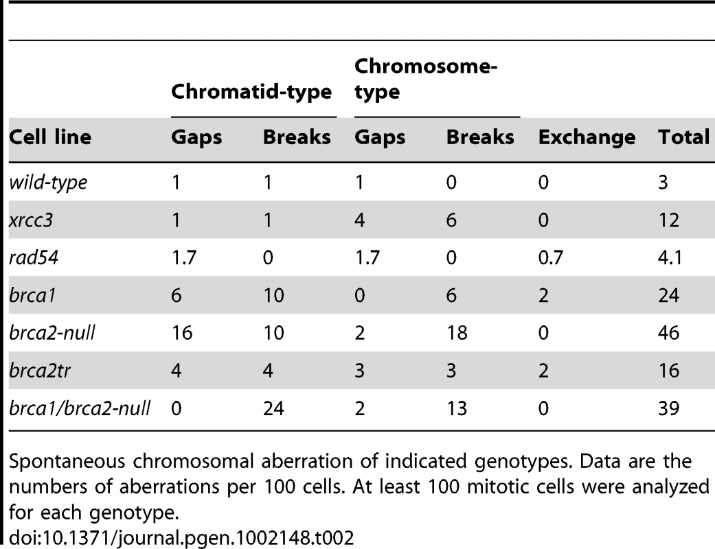 Spontaneous chromosomal aberrations.