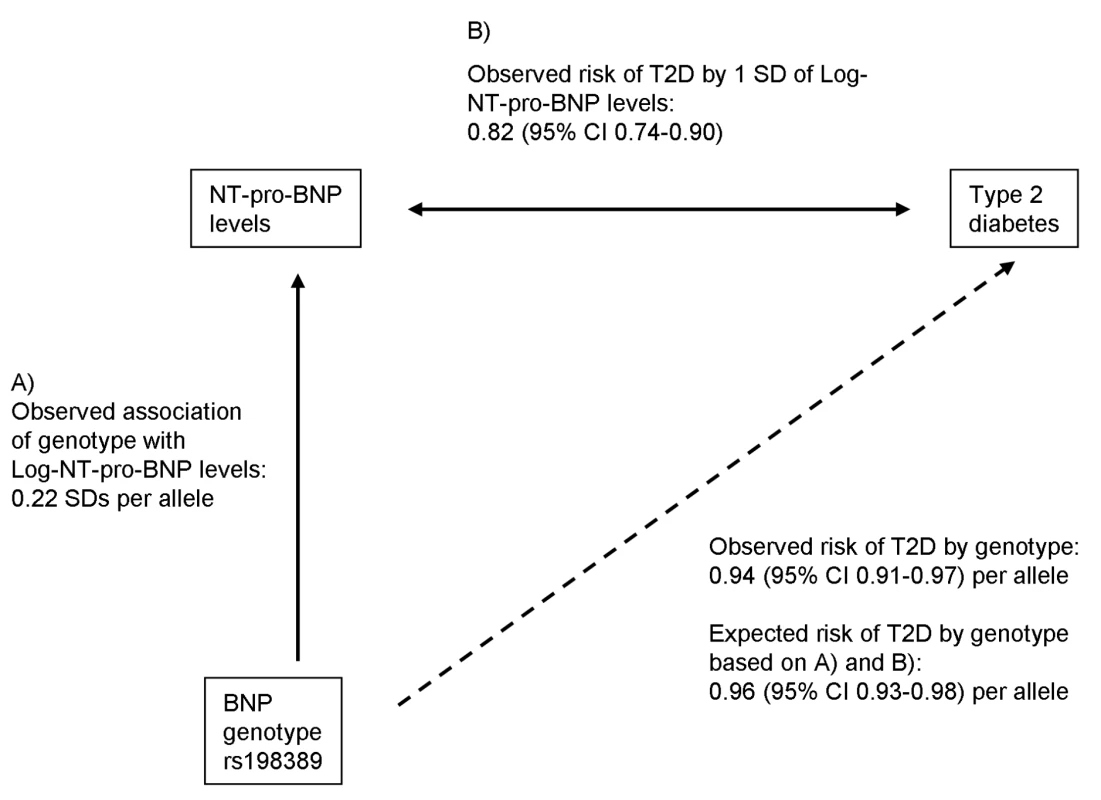 Mendelian randomization approach for the association between BNP and T2D.