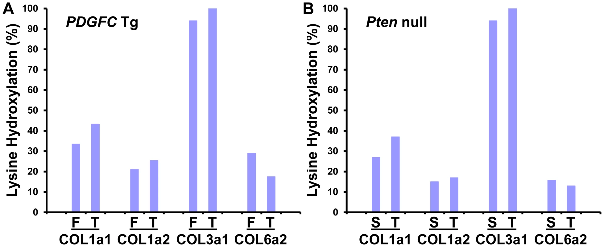 Percentage of peptides with lysine hydroxylation identified for COL1A1, COL1A2, COL3A1, and COL6A2.