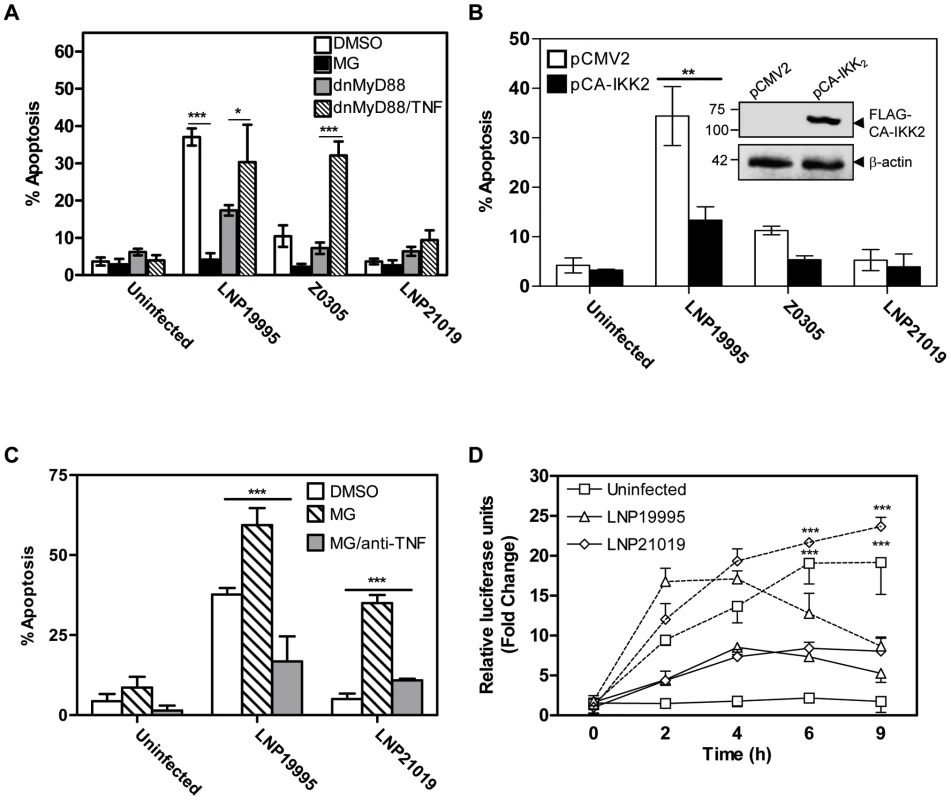 Role of NF-κB in apoptosis of Hec-1B cells induced by meningococcal ST-11 isolates.