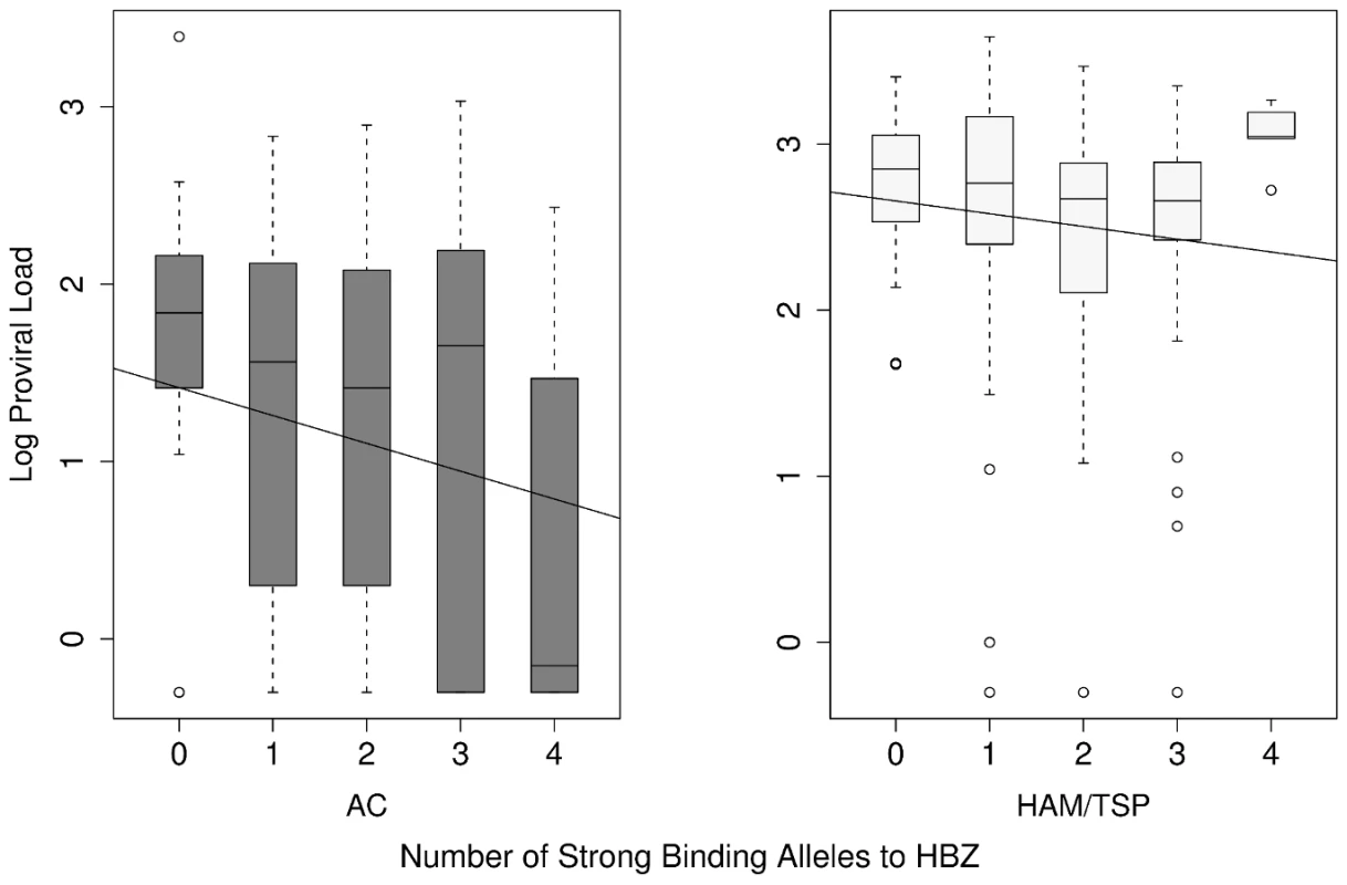 The count of strong binding alleles to HBZ per individual against their proviral load in AC and HAM/TSP groups.