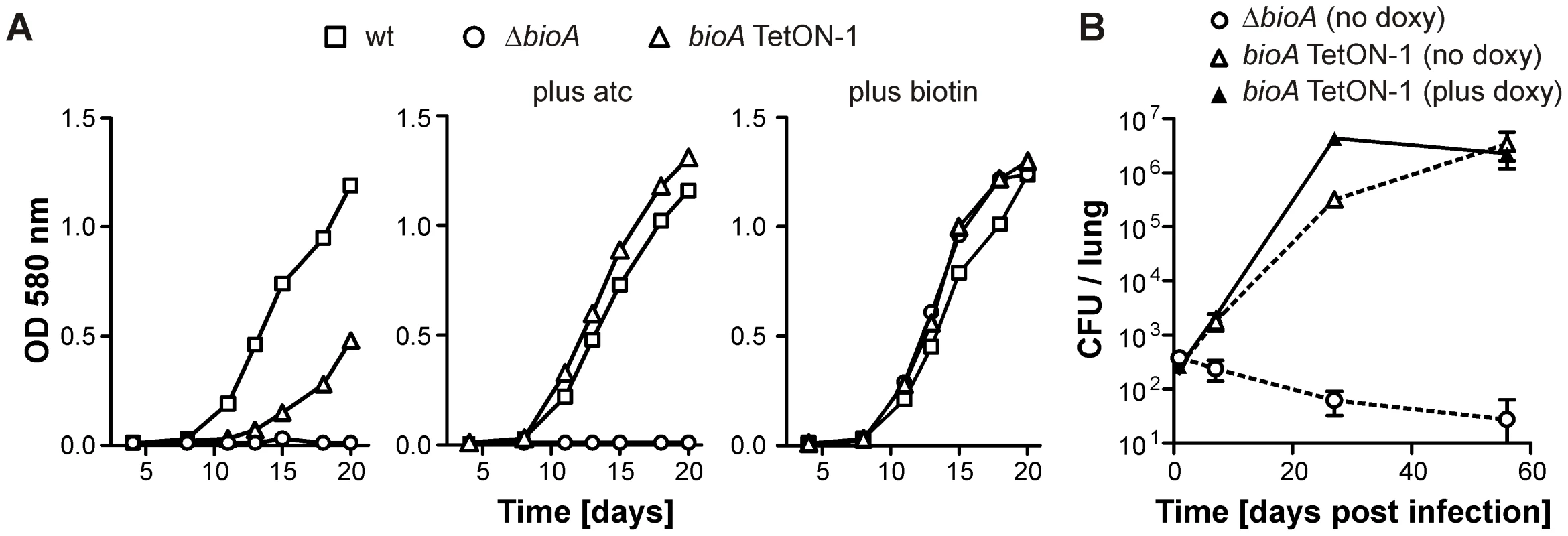 Growth of wt <i>Mtb</i>, <i>ΔbioA</i>, and <i>bioA</i> TetON-1 in liquid media and mice.