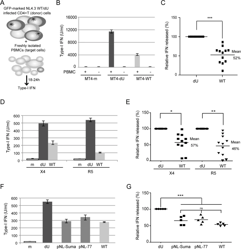 Vpu controls IFN-I production by PBMCs following contact with HIV-infected CD4+ T cells.
