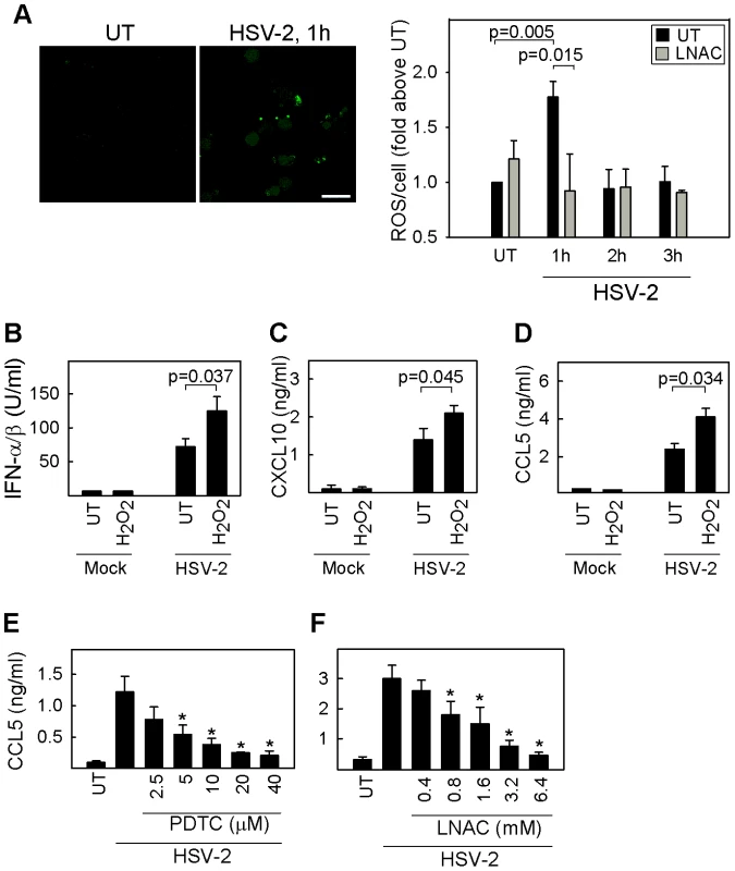 Intracellular ROS produced following HSV infection is essential for cytokine expression.
