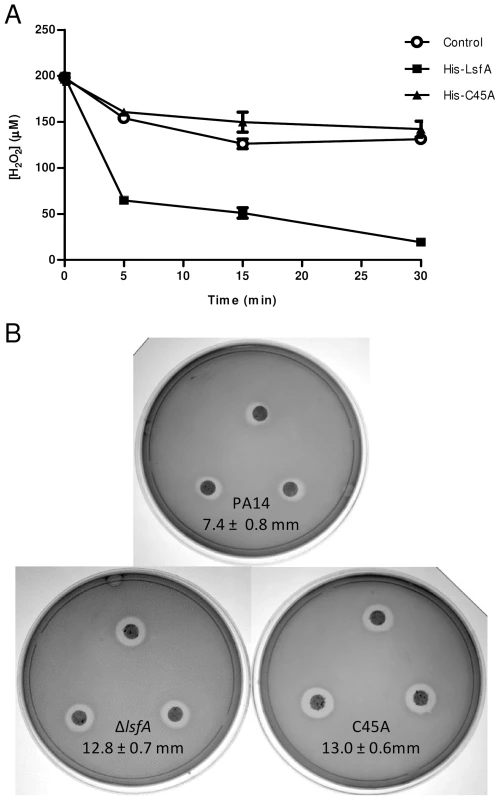 LsfA confers PA14 resistance to hydrogen peroxide and reduces it <i>in vitro</i>.