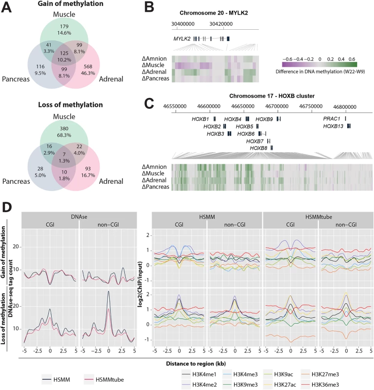 Association of gain and loss of DNA methylation, DNAse I hypersensitive sites and histone modifications.