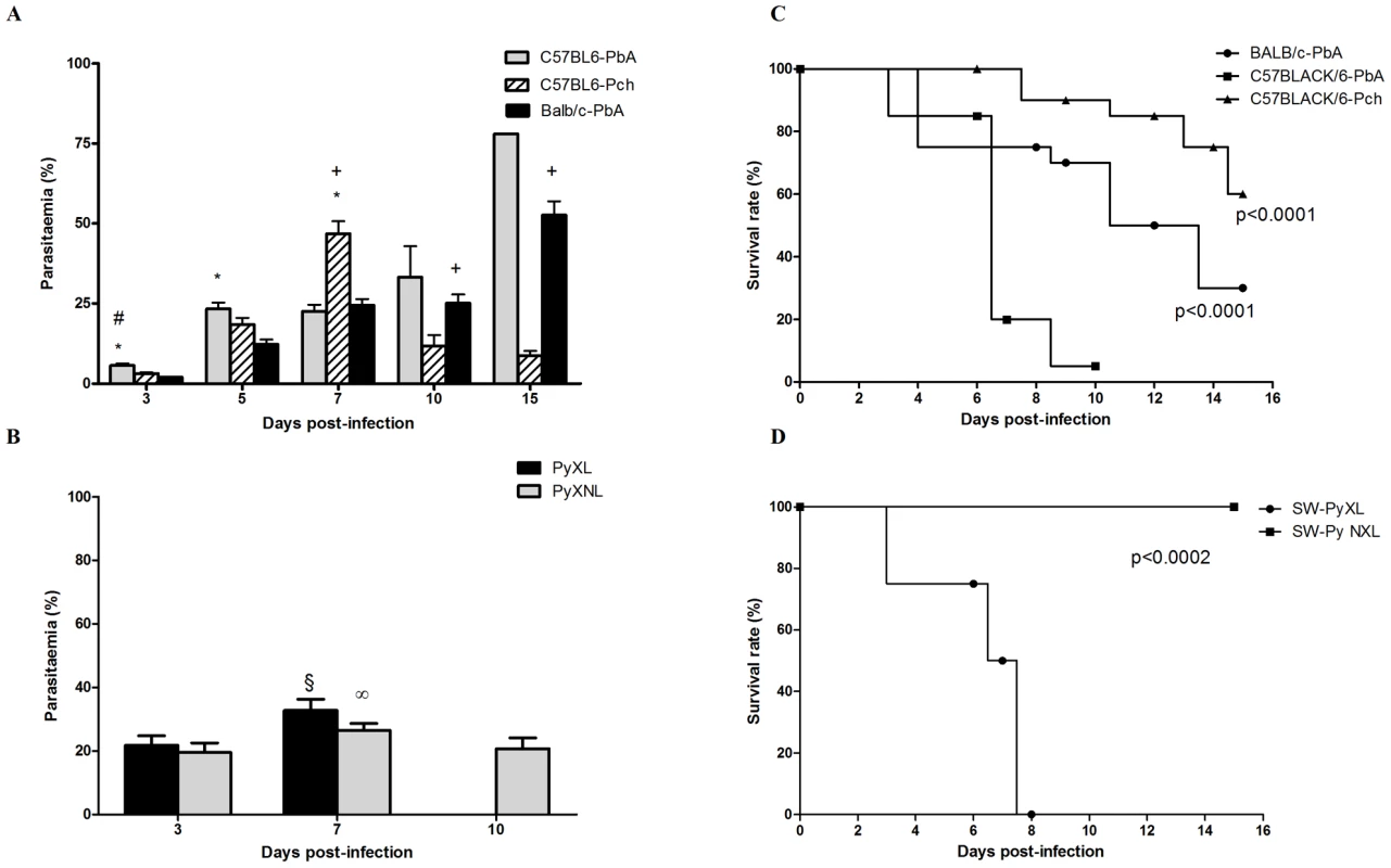 Time-course of parasitemia and survival rate of C57BL6, BALB/c and Swiss Webster (SW) mice after infection with PbA, Pch, PyNXL or PyXL (n = 12–20/group).