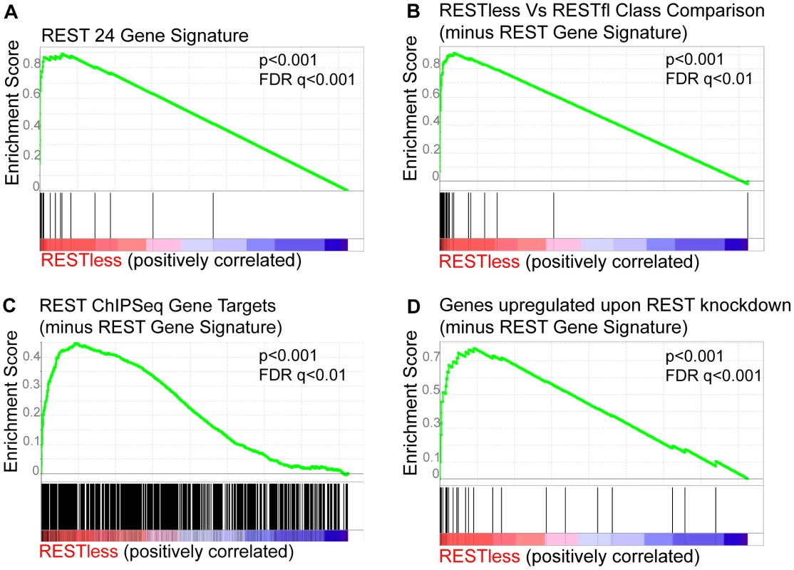 Gene set enrichment analysis of REST–less tumors.