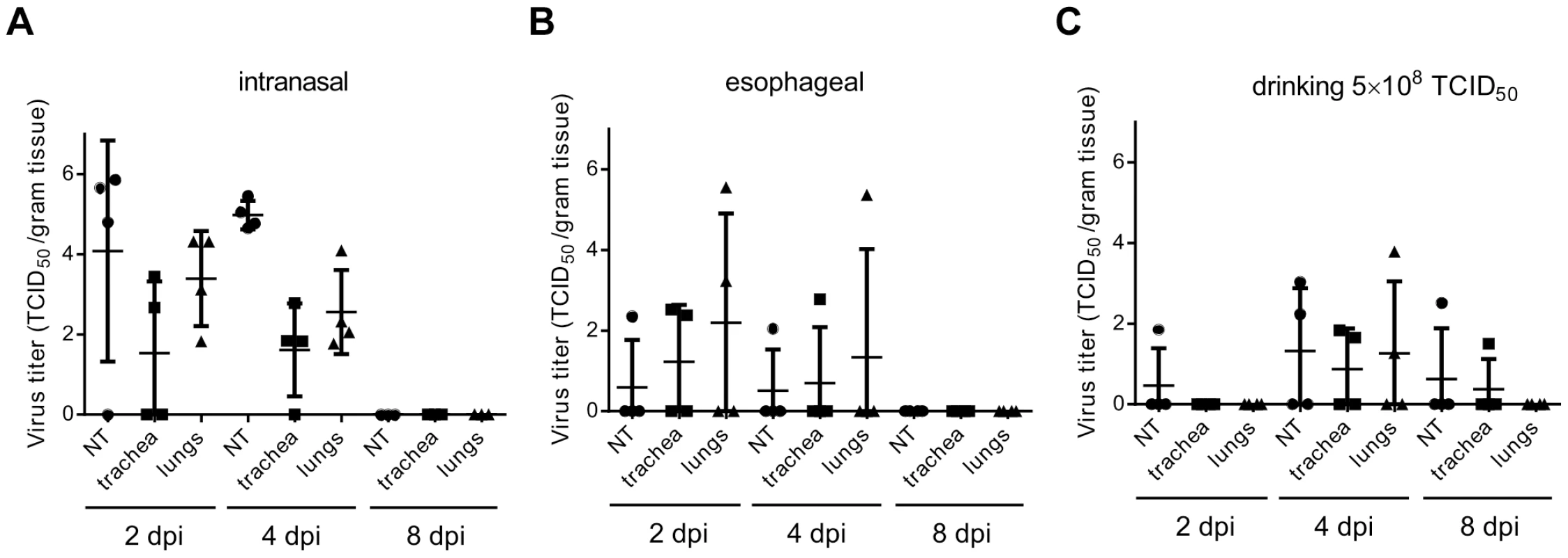 Virus titers in respiratory tissues of hamsters inoculated with Nipah virus.