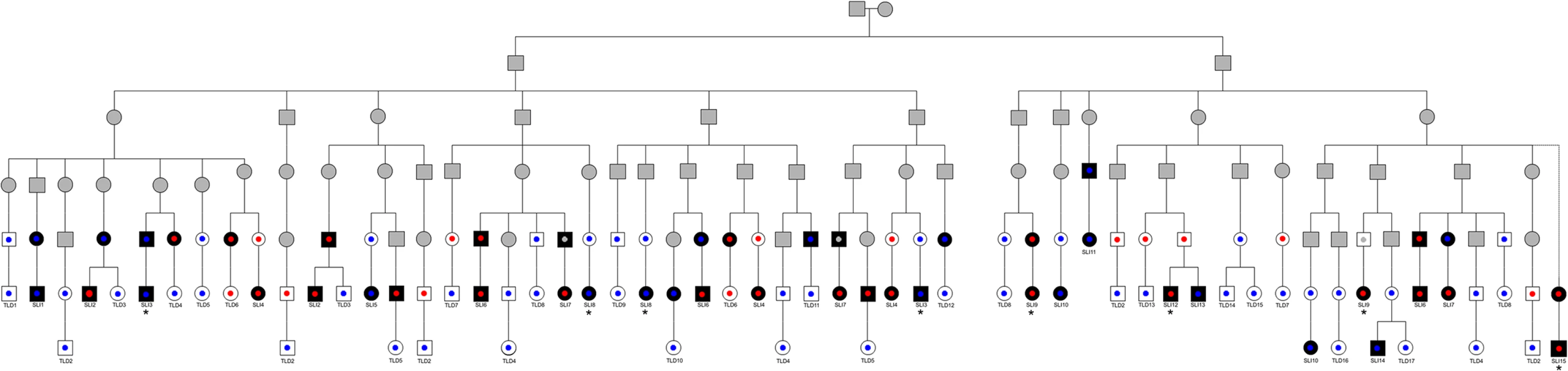 Pedigree showing direct lines of descent between founder brothers and children in Robinson Crusoe validation cohort.