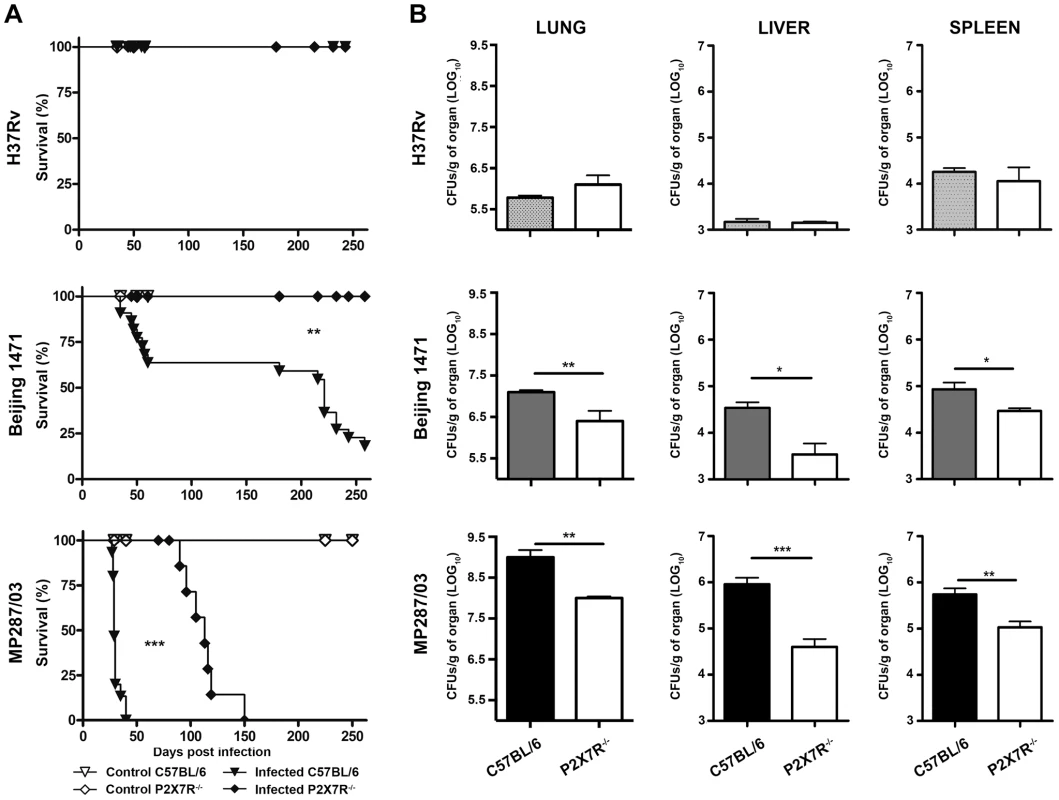 Survival curves and bacillary burdens in the lungs, liver and spleen of C57BL/6 and P2X7R<sup>−/−</sup> mice infected with hypervirulent mycobacteria.