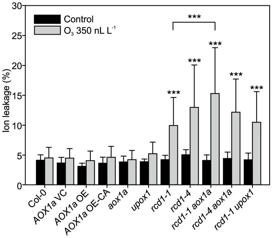 Response to apoplastic ROS in <i>rcd1</i> is not influenced by AOX1 or UPOX.