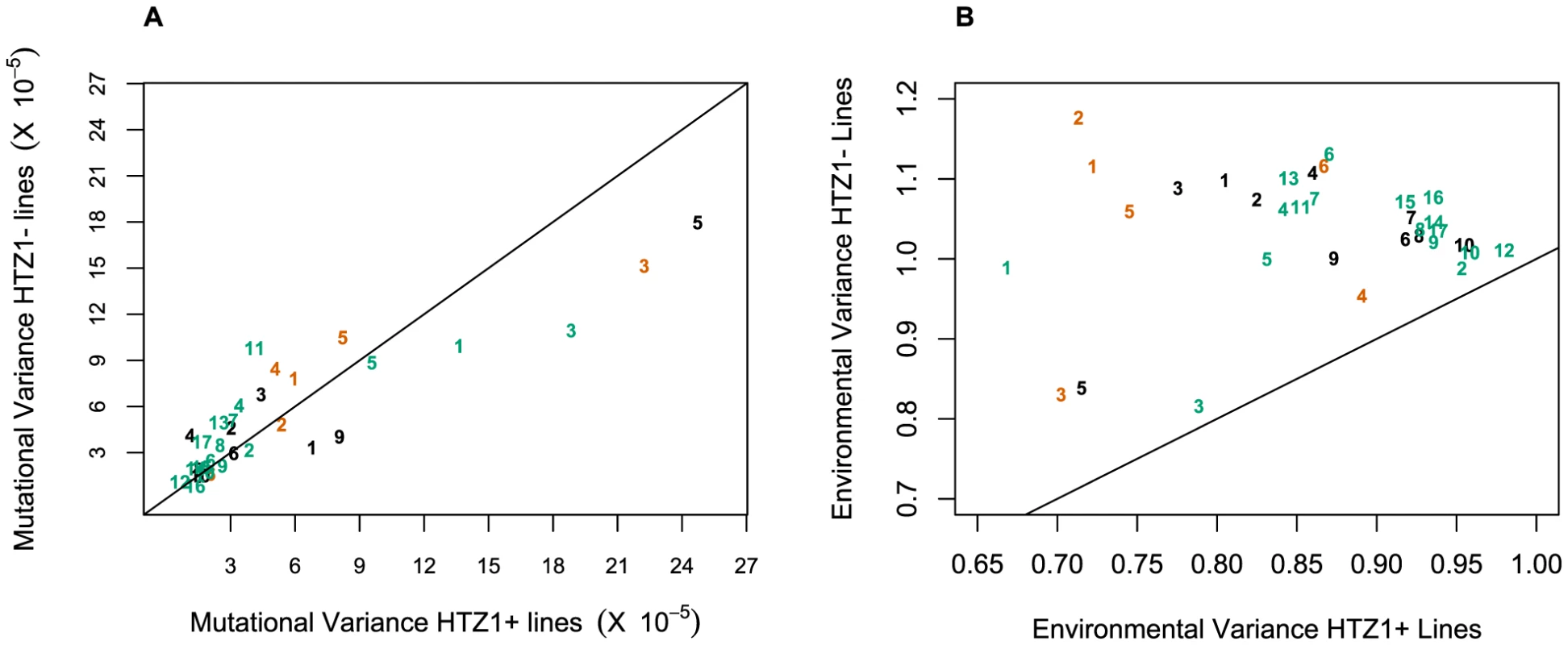 Mutational and environmental variances in HTZ1+ and HTZ1− lines.