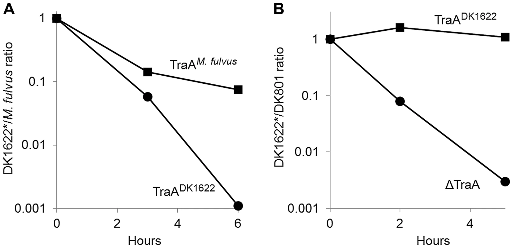TraA-dependent OM exchange confers protection from inter-strain killing.