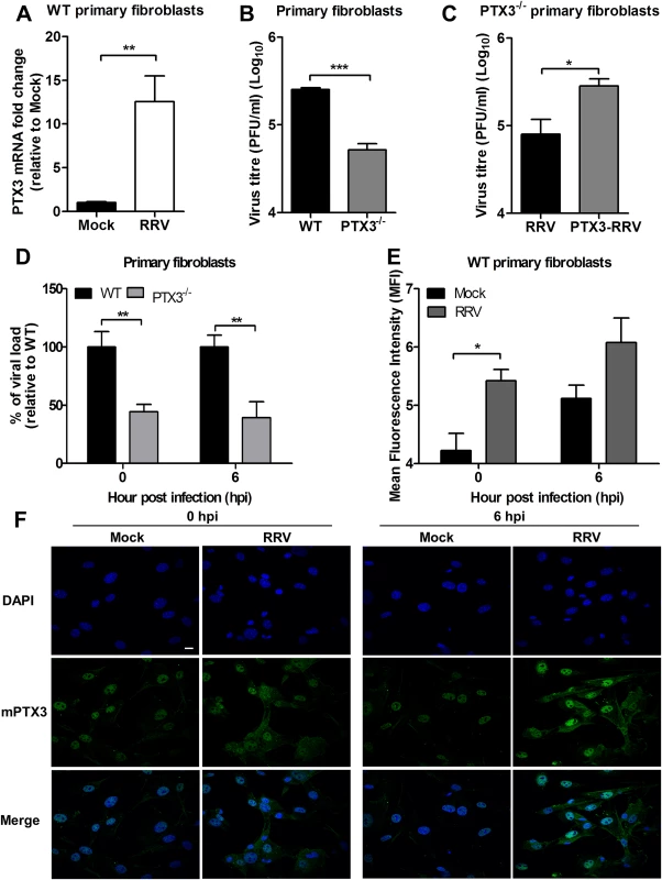 PTX3 enhances RRV replication in murine primary fibroblasts.