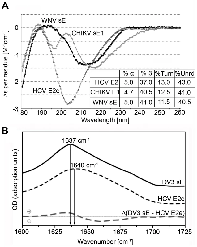 Experimental analysis of the secondary structure of HCV E2e.